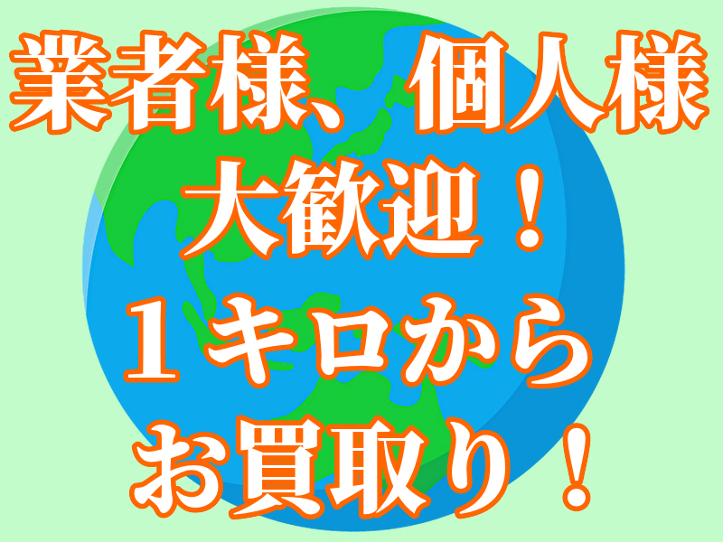 画像の説明 画像の説明